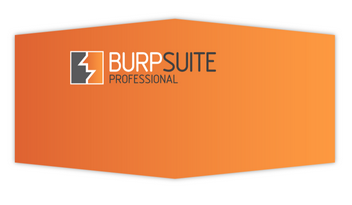 Burp Suite Professional 2021.10.2 Build 10565 - ENG