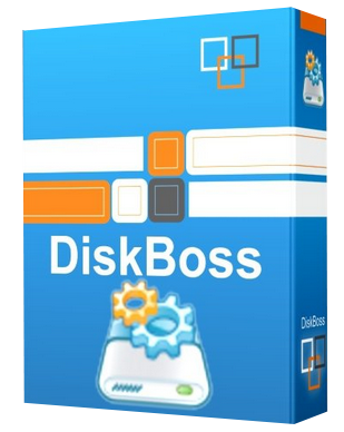 DiskBoss Pro 11.6.12 - ENG