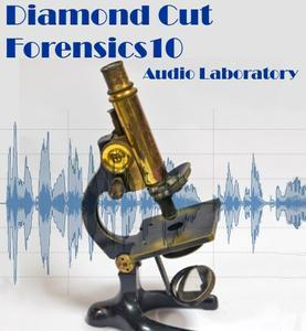 Diamond Cut Forensics10 Audio Laboratory 10.52 - ENG