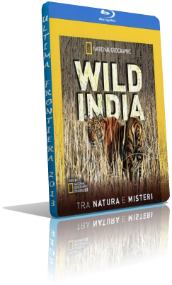 wild india mkv.png