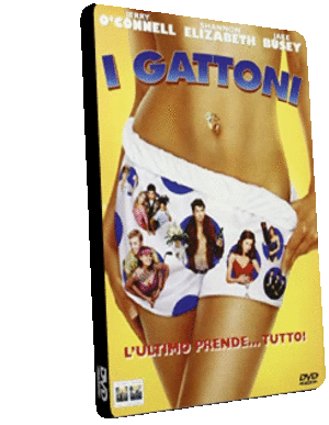 I gattoni (2001).gif
