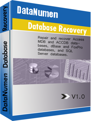 DataNumen Database Recovery v2.4.0.0 - ENG