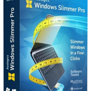 Auslogics-Windows-Slimmer-Professional-2-Free-Download-1.png