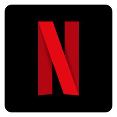FlexiCam Netflix Video Downloader 1.3.1 - ITA