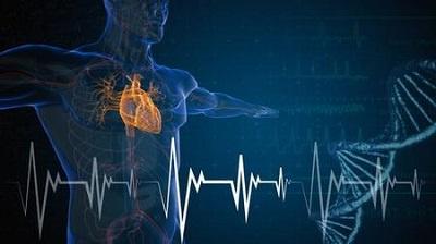 Udemy - Fisiologia Cardiovascolare: Un Corso Essenziale - ITA