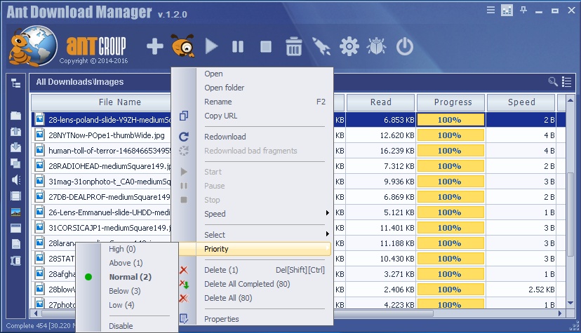 Ant Download Manager Pro 2.12.0.87642 Multilingual Portable