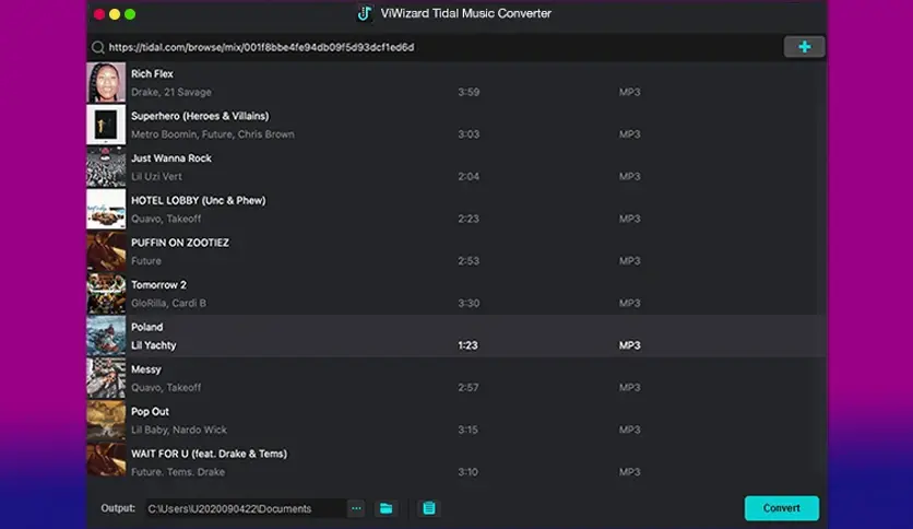ViWizard Tidal Music Converter 1.5.0.42 Multilingual Vltc