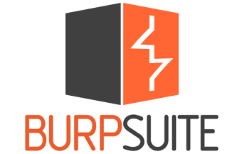 Burp Suite Professional 2024.5.5 - ENG