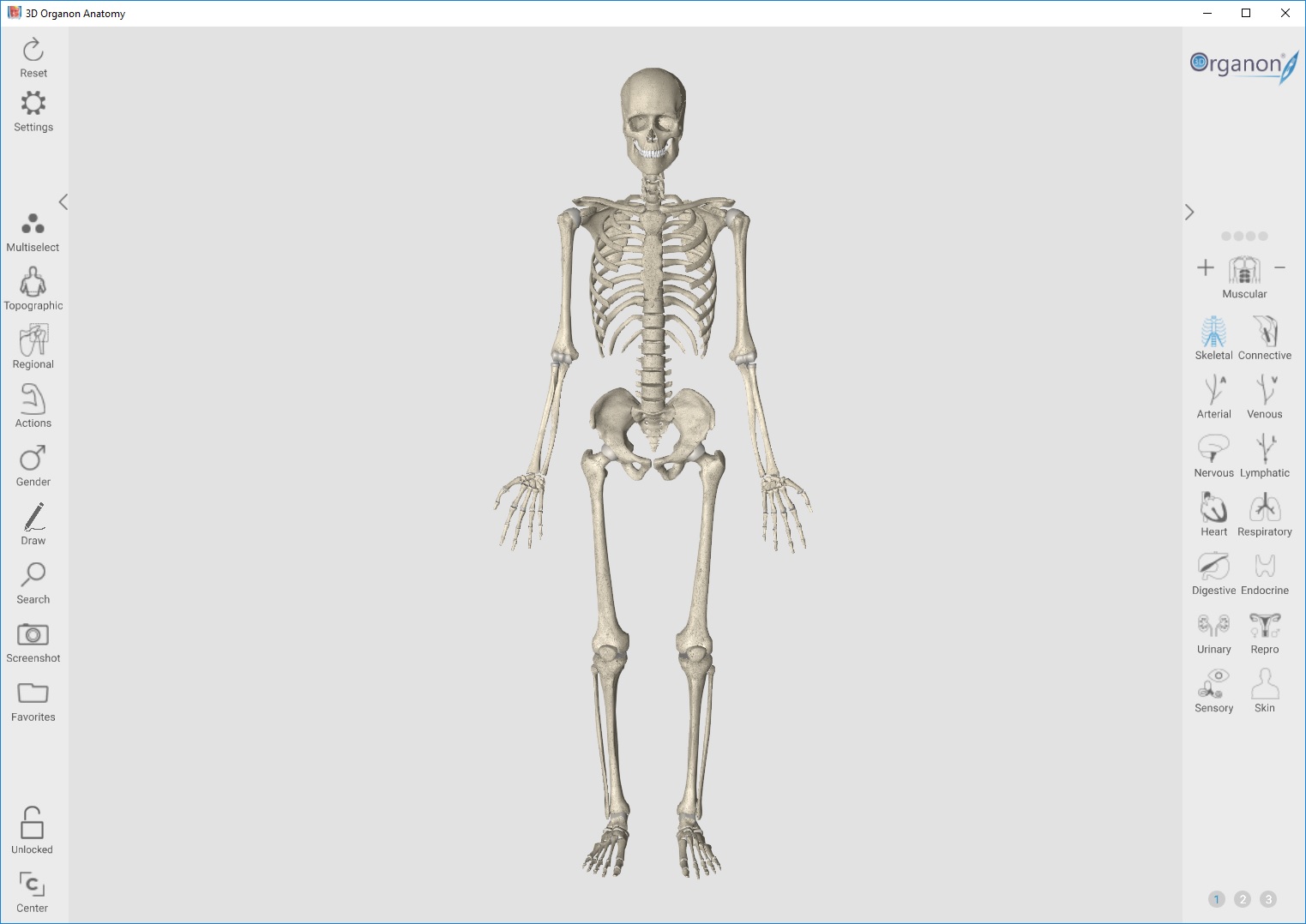 [PORTABLE] 3D Organon Anatomy v3.0.0  Bjx