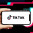 TIKTOK Marketing Practice and TIKTOK Shop Operation Guide.png