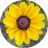 MesaExif.png