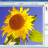 PhotoLine screen.png