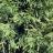 IMG_0157.jpg