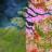 Google Earth Engine for Machine Learning & Change Detection.jpg