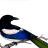 cover.png