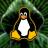 Mastering Linux the Complete Guide to Becoming a Linux Pro.jpg