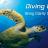 Diving Log.jpg