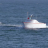 vlcsnap-2026-06-11-12h09m27s395.png