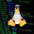 Escalada de Privilegios en Linux - Hacking.jpg