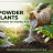 Zinc Powder for Plants Pure Grade Fertilizer for Healthy Soil.png
