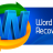 RS Word Recovery.png