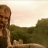 vlcsnap-2020-05-14-23h15m42s724.png