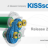 KISSsoft 2024.png