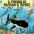 cover.png