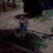 vlcsnap-2026-09-03-10h49m06s928.png
