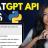ChatGPT Accelerated Python Complete Python Guide.jpg