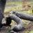 alberi-hard.jpg