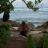 vlcsnap-2026-04-17-10h19m16s631.png