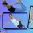 Pilates Training For Everyone.jpg