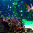aquarium-live-hd-screensaver-screenshot.png