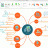 ConceptDraw OFFICE screen.gif