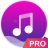 Music player.png
