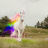 vlcsnap-2019-04-04-12h09m54s451.png