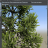 SpeedTree Games screen.png