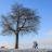 652234-winter-6024017_1920.jpg