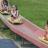 Alpine Slides.jpg