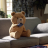 vlcsnap-2026-05-02-12h21m53s023.png