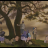 vlcsnap-2019-01-22-12h01m32s525.png