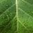catceeq-droplets-7637235_1920.jpg