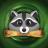 Raccoon.jpg