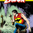 cover.png