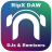 Mix RipX DAW PRO.png