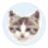 EF File Catalog.png