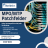 MPO/MTP-Patchfelder – Effiziente Lösungen für moderne Glasfasernetze