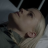 vlcsnap-2019-06-21-19h14m28s284.png