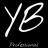 Yb Professional.jpg